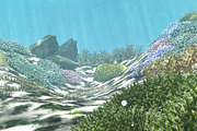 3D Cartoon Underwater Coral Reef Hab, an Environmental 3D Model by NOMODOL (Thumbnail 6 of 24)