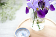 Purple Iris Styled Stock Collection, a Photo by Chalking Up Stock (Thumbnail 4 of 19)