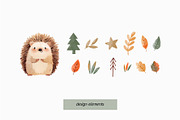 Woodland. Cute Watercolor Hedgehog, a Decorative Illustration by MilaCreator (Thumbnail 4 of 5)