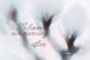 The Morning After: 70 Backgrounds, a Background Graphic by Purple (Thumbnail 11 of 11)