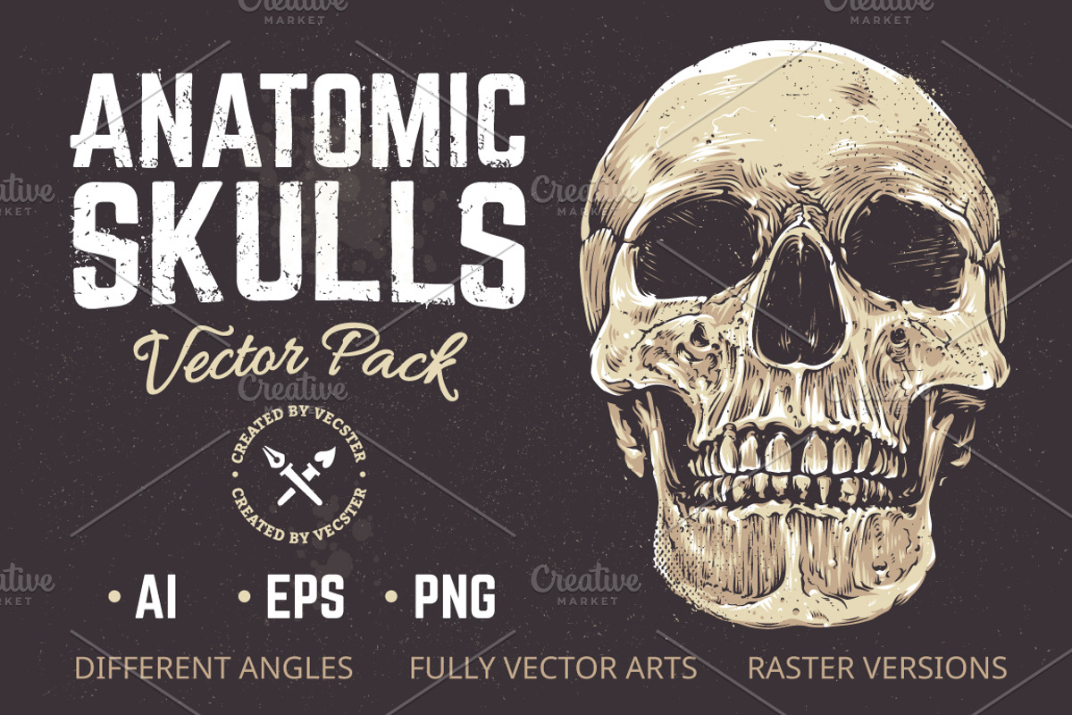 Anatomic Skulls | Vector Pack, a Decorative Illustration by Vecster (Photo 1 of 8)