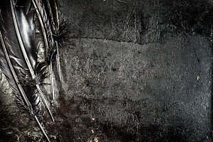 Halloween background raven feather, an Abstract Photo by hitdelight