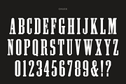 Pale Horse, a Slab Serif Font by Pale Horse (Thumbnail 4 of 11)