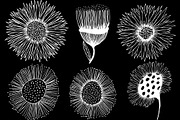 Decorative Sunflower Line Art Bundle, a Decorative Illustration by kristiangallagher (Thumbnail 7 of 9)