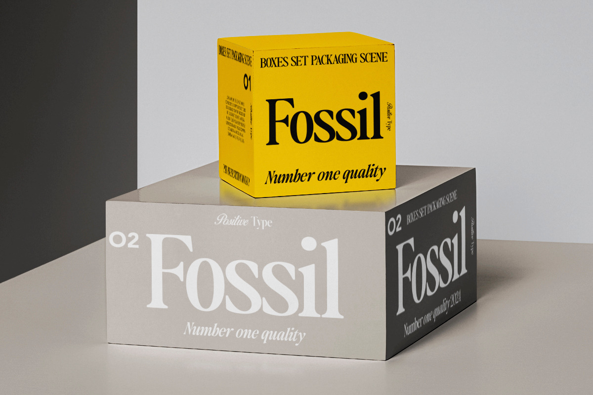 Naturally Serif, a Serif Font by Positive TypeFoundry (Photo 6 of 15)
