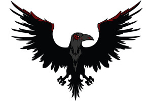 Angry Dark Raven