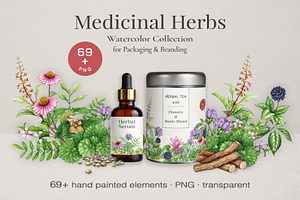 Medicinal Herbs Watercolor Clipart, a Healthcare Illustration by AnitaPol