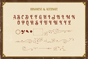 Christon Hunington Vintage Font, a Serif Font by HansCo Studio (Thumbnail 12 of 13)