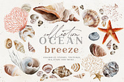 8064 in 1 - GRAPHICS GRAND BUNDLE, an Object Illustration by Julia Dreams (Thumbnail 26 of 50)