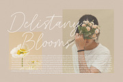 Mealtone Signature Script Font, a Script Font by Typebae (Thumbnail 3 of 8)
