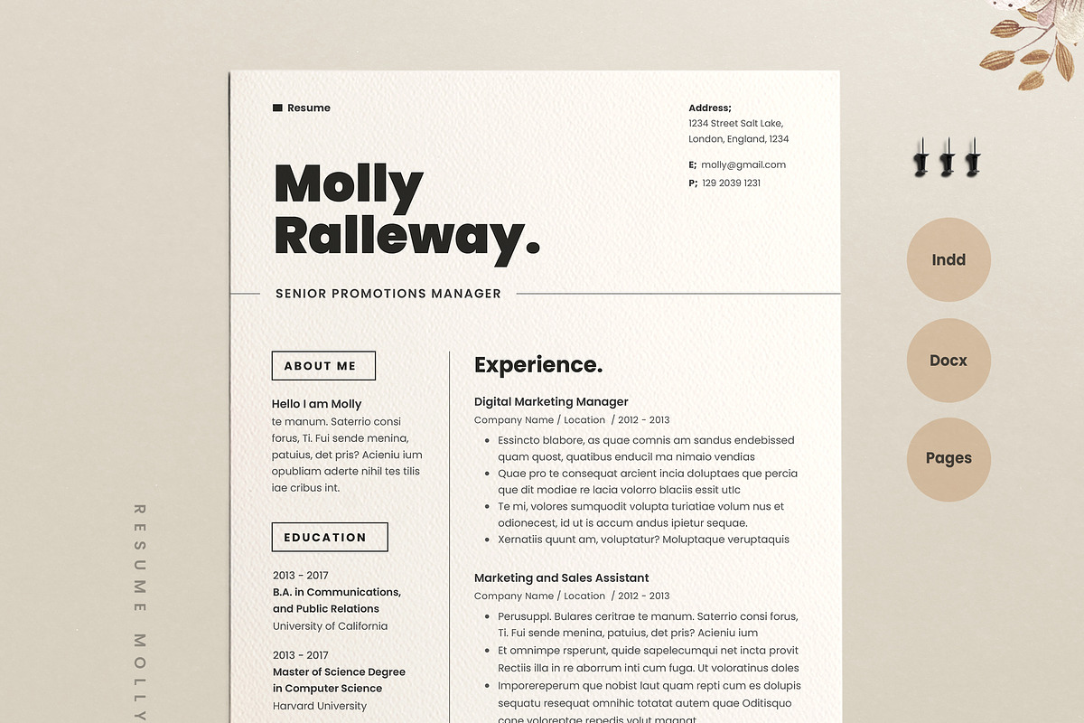 Resume Template Cv, a Resume Template by Estartshop (Photo 2 of 7)