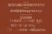 Nerhole Modern Serif Font, a Serif Font by Letterena Studios (Thumbnail 13 of 15)