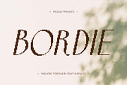 Bordie Pixel, a Sans Serif Font by Craft Supply Co. (Thumbnail 1 of 8)