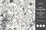 Linear vector flowers set, an Illustration by Color and Decor (Thumbnail 1 of 3)