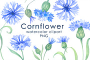 Watercolor blue cornflowers Clipart, an Illustration by EshaStudio (Thumbnail 1 of 2)