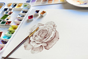 Watercolor White Rose Vector Set, a Graphic by Deckar_art (Thumbnail 5 of 5)