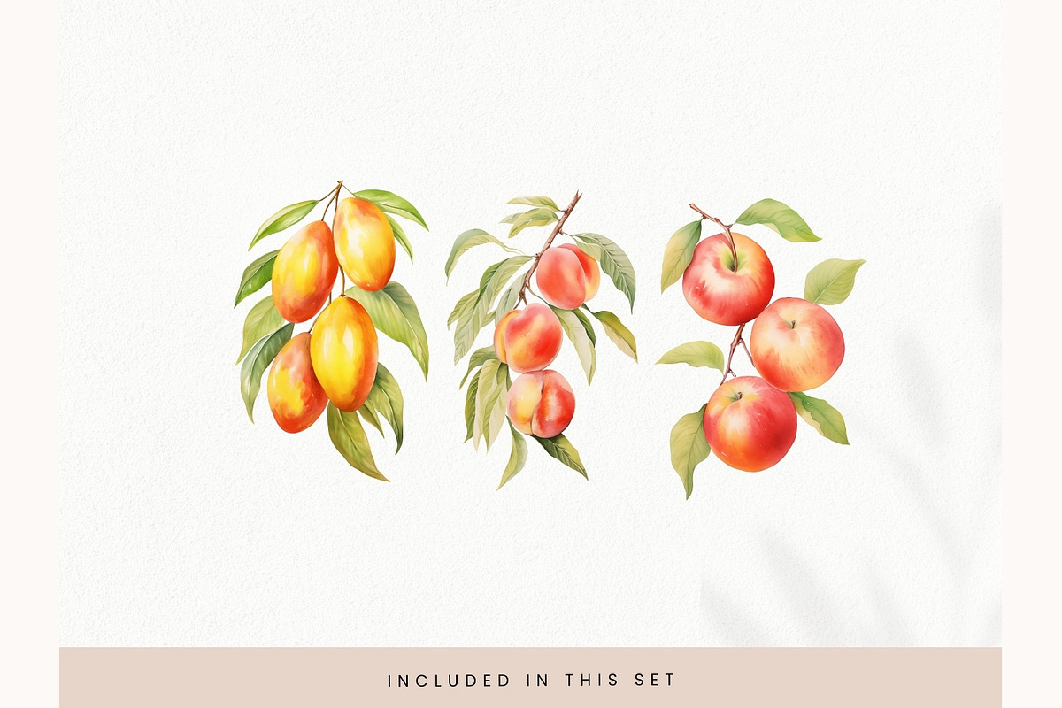 Watercolor Fruit Clipart, Fresh PNG, a Decorative Illustration by illuztrate (Photo 9 of 13)
