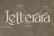Lunavera - Luxury Serif Font, a Serif Font by Letterara (Thumbnail 9 of 14)