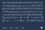 CS Qeisya Drawn, a Serif Font by Craft Supply Co. (Thumbnail 8 of 8)