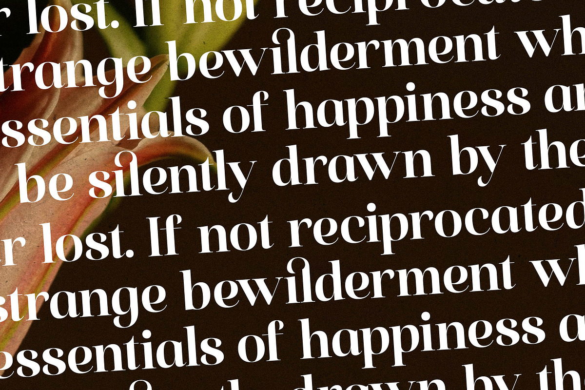 Florilst Realik Modern Serif Font, a Serif Font by Storytype Studio (Photo 11 of 15)