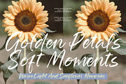 Fordsmith New Handwritten Script, a Script Font by stylishtype.co (Thumbnail 13 of 20)