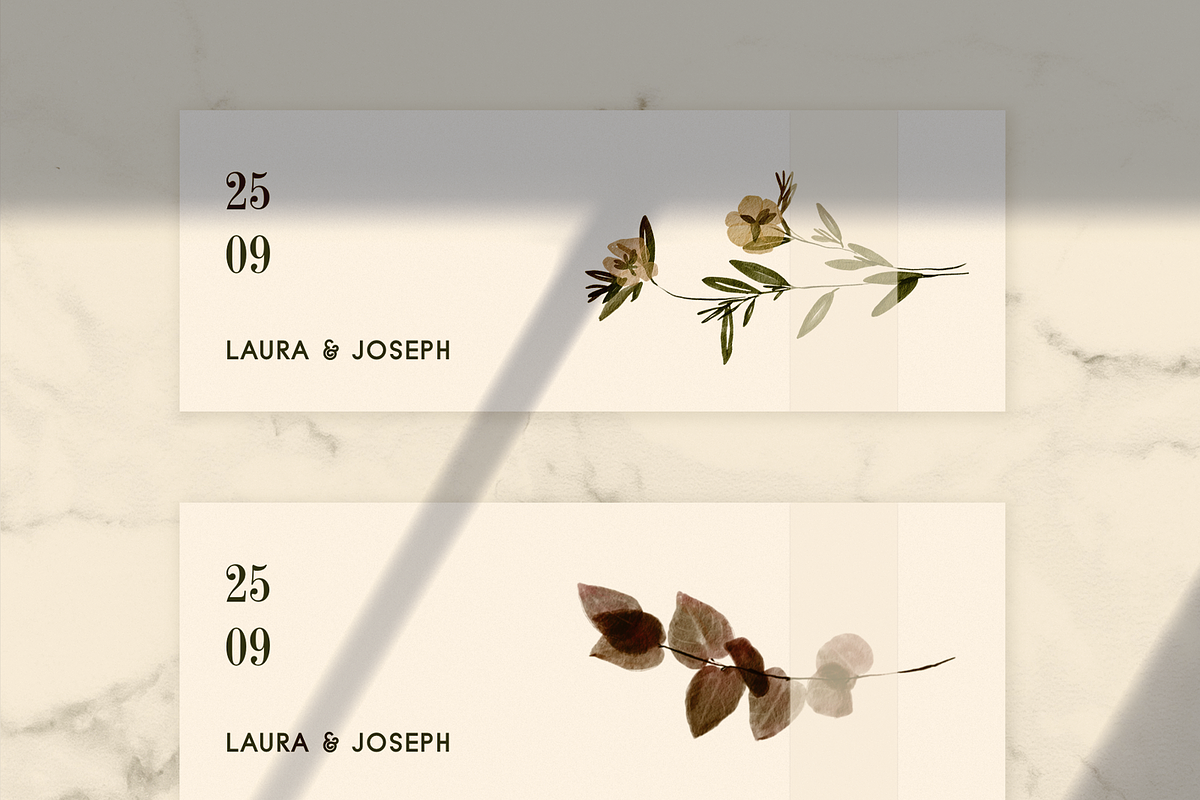 Herbarium: Pressed Dry Flowers vol.1, a Decorative Illustration by AnaPierceArt (Photo 8 of 12)