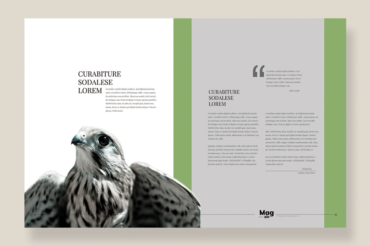 Magazine Template 10, a Magazine Template by pmvch (Photo 6 of 12)