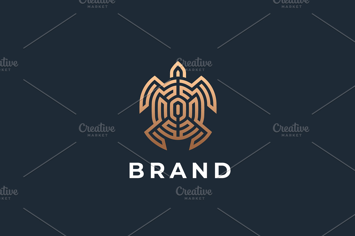 Turtle logo design., a Branding & Logo Template by lettett