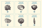 VECTOR SEASHELL HAND DRAWN BUNDLE 22, an Illustration by pawellpi (Thumbnail 7 of 10)