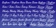 Excelsia Pro, a Script Font by Wiescher-Design (Thumbnail 10 of 11)