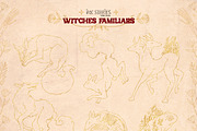 Witches Familiars, an Animal Illustration by Ink Stories (Thumbnail 9 of 44)