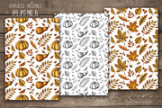 Pumpkins and Leaves Set, an Illustration by Tabiti (Thumbnail 12 of 14)