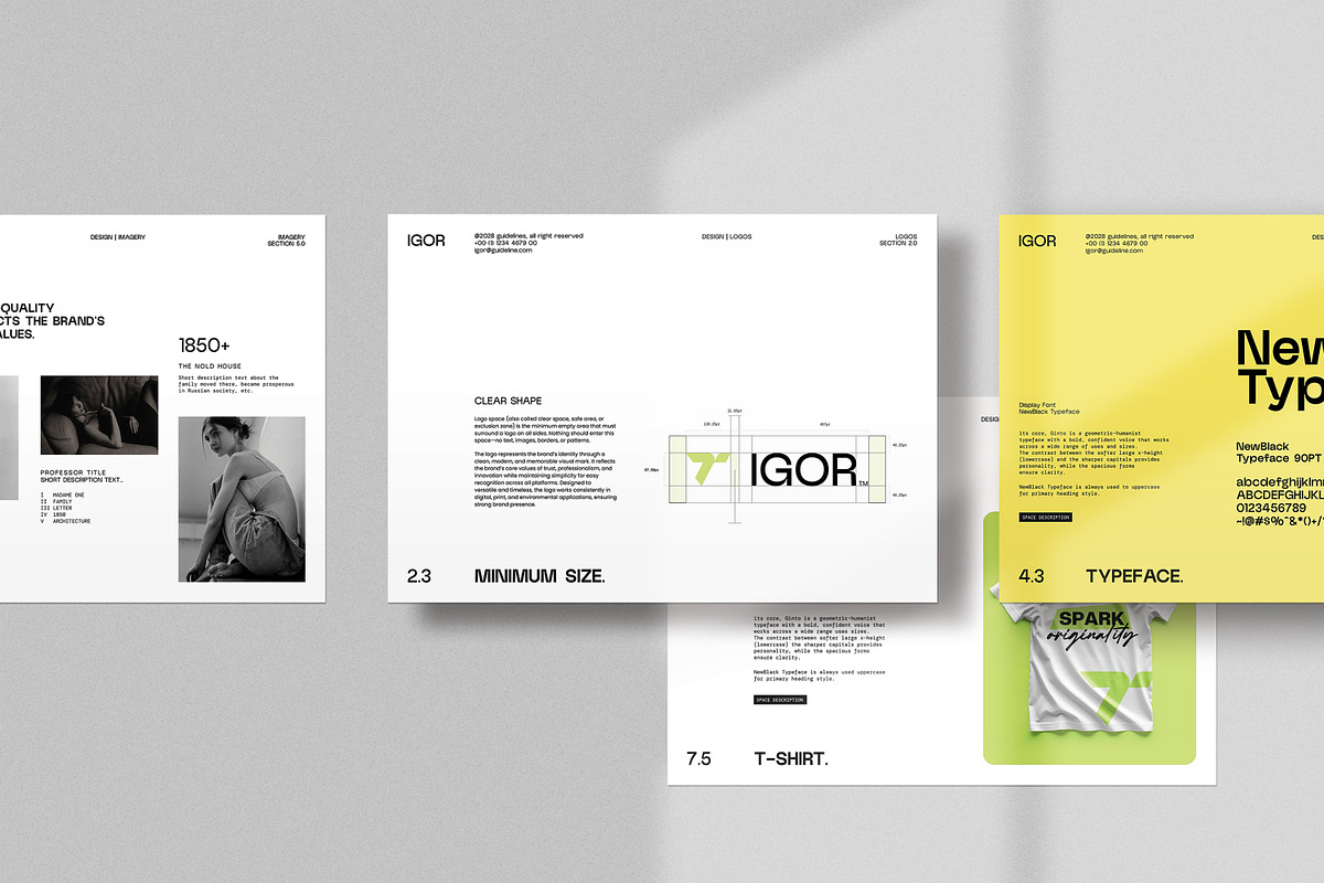 iGOR | Brand Guidelines, a Branding & Logo Template by creathrivestudio (Photo 5 of 11)