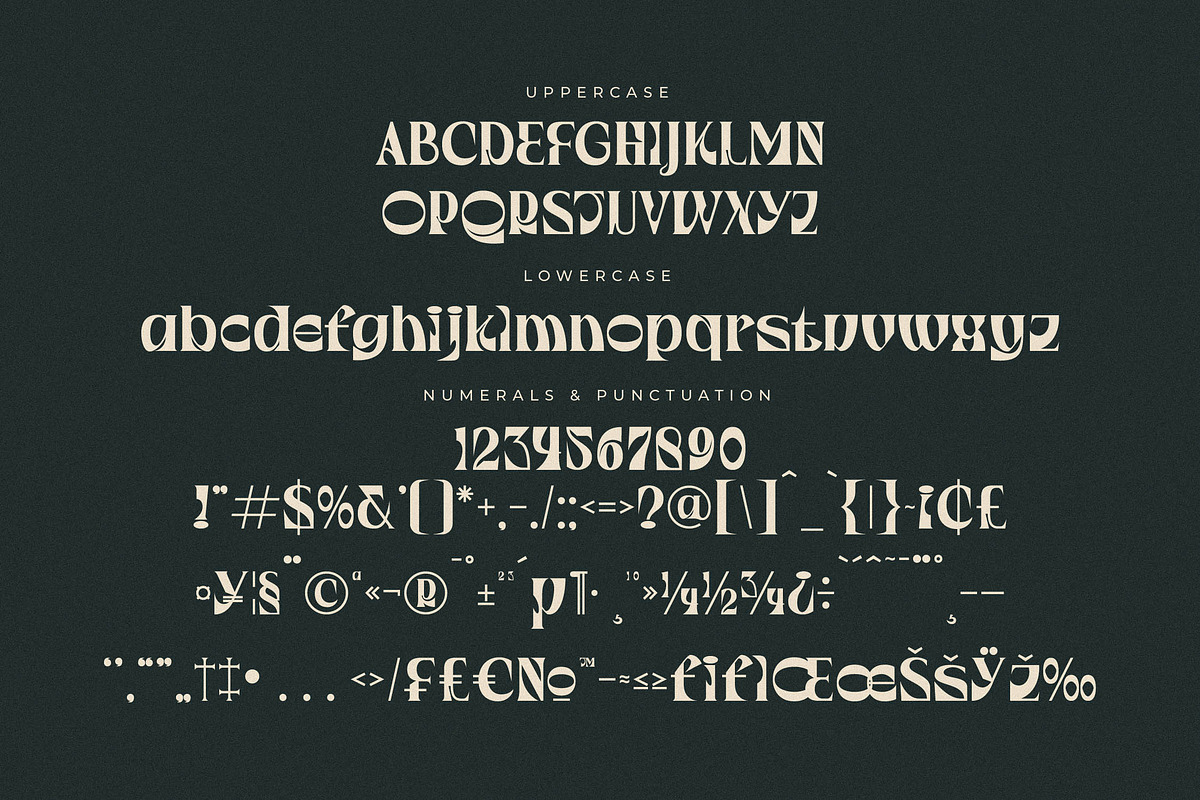 Waflerd Modern Display Font, a Serif Font by Letterena Studios (Photo 13 of 15)