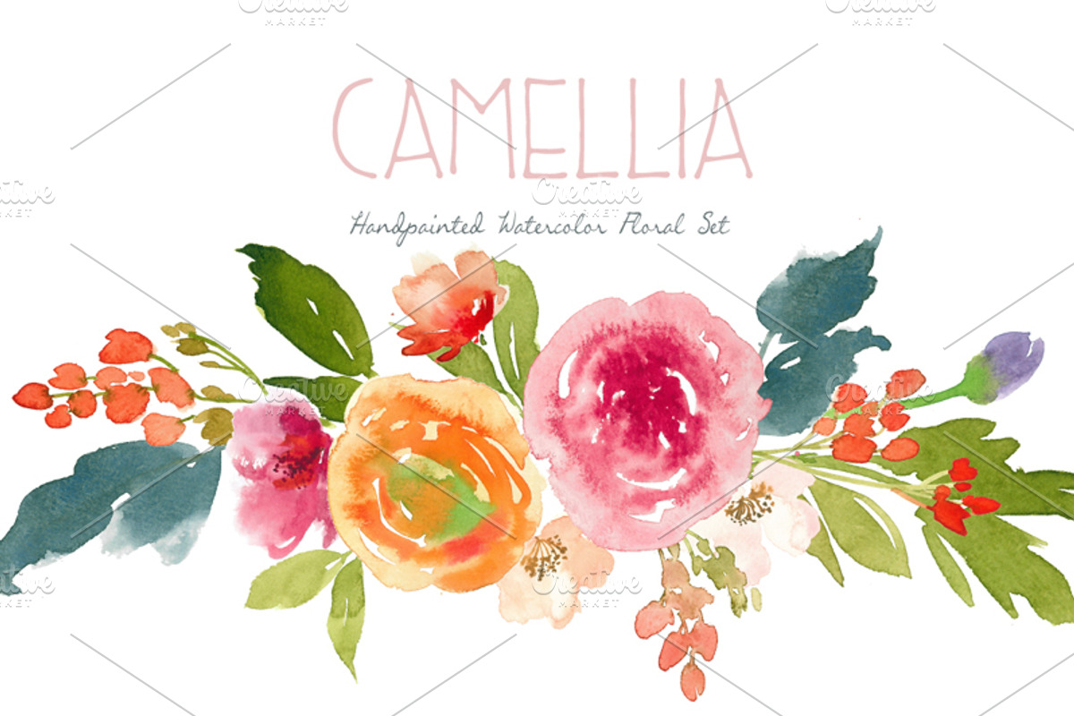 Camillia - Watercolor Floral Set, an Illustration by SmallHouseBigPony (Photo 6 of 6)
