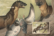 Alfred Fiedler Täubler’s Animals, an Animal Illustration by Digital Museum (Thumbnail 11 of 12)