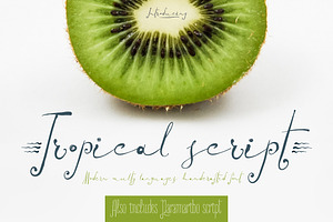 Tropical Script Paramaribo Font