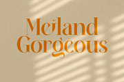Meiland Gorgeous, a Serif Font by INKSUN™ (Thumbnail 1 of 9)