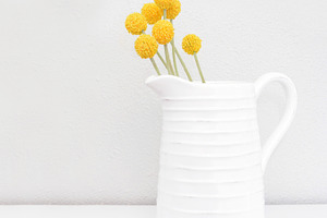 Farmhouse Pitcher with Billy Balls