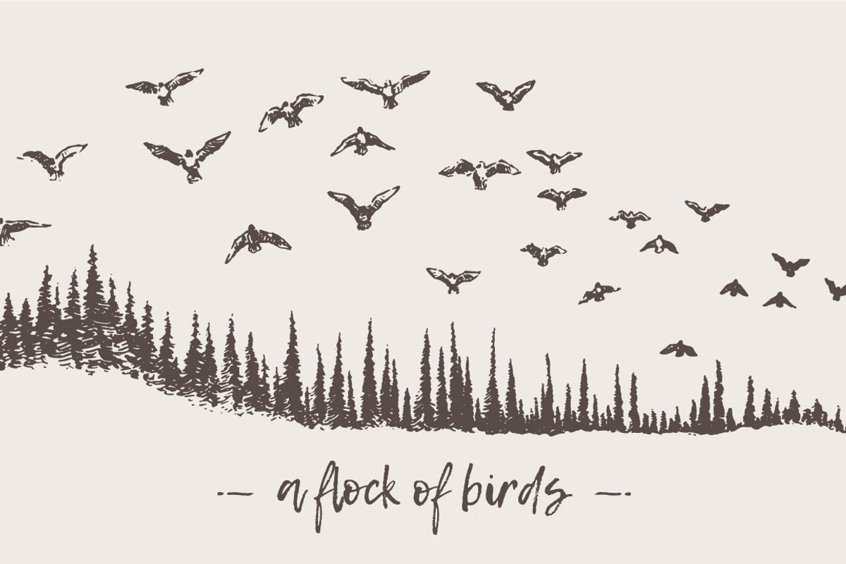 Birds flying over a fir forest, an Illustration by TheMountBirdStudio (Photo 1 of 2)