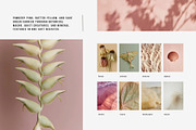 Soft Pastel Stock Photos Bundle 280, a Nature Photo by Tale.Haus (Thumbnail 6 of 19)