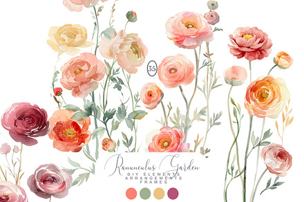 Watercolor Ranunculus Clipart Set, a Decorative Illustration by Patishop Art