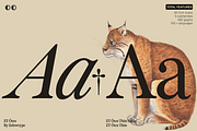 ZT Otez Retro Serif - 90 fonts, a Serif Font by zelow type (Thumbnail 3 of 15)