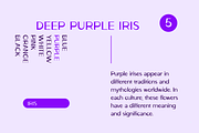Ludeco Modern Display Font, a Sans Serif Font by Wild Ones (Thumbnail 9 of 11)