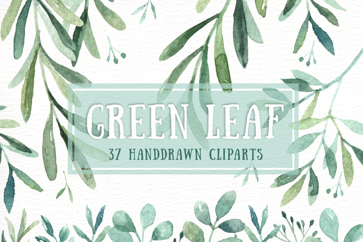 Green Leaf Watercolor clipart, an Illustration by everysunsun (Photo 1 of 4)
