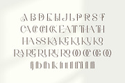 Aretha - Modern Serif Font, a Serif Font by Aqeel_Art (Thumbnail 11 of 12)