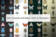 Vector Insect Icons, an Outline Icon by The Curio Cabinet (Thumbnail 3 of 3)
