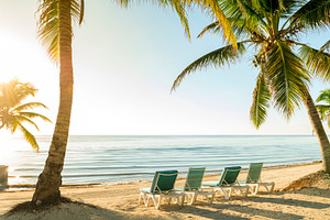 Beach Vacation With Palmtrees And Deckchairs, a Holiday Photo by THP Creative