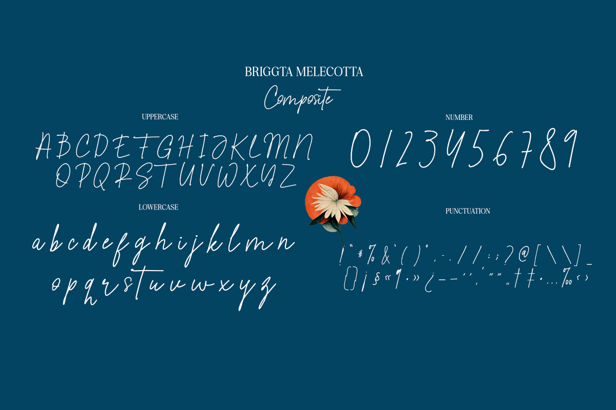 Briggta Melecotta, a Handwritten Font by Differentialtype (Photo 6 of 8)