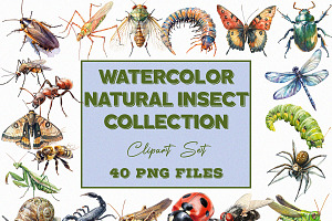 Watercolor Natural Insect Collection